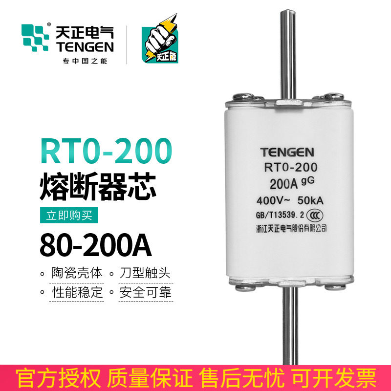 TENGEN天正RTO-200体熔断器熔芯RT0-200A 160A陶瓷方管保险丝三相