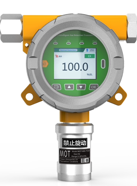 MOT 500气体仪乙烷检测仪 丙烷检测仪 丁烷检测仪C2H6 C3H8 C4H10