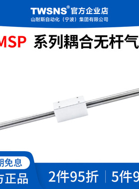 twsns台氣山耐斯RMSP耦合无杆气缸缸径32/40行程100/200/500/1000