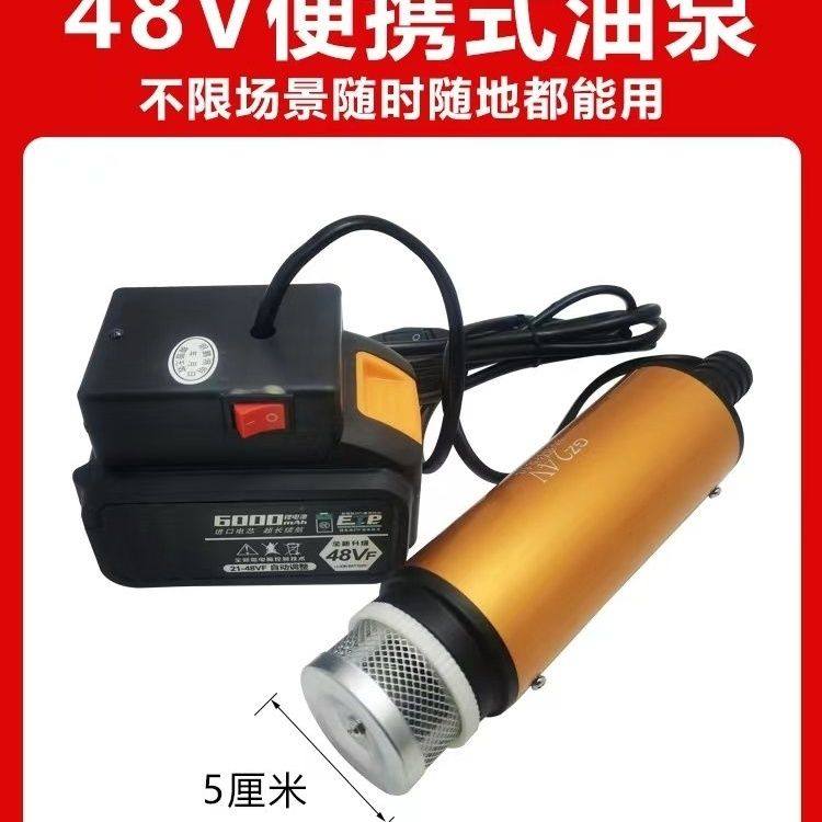 锂电池抽油泵12V24V电动抽水泵浇菜神器柴油油抽子加油枪自吸泵
