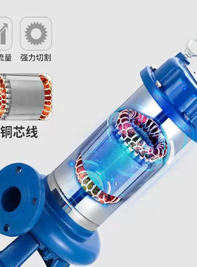 意大利进口戴博潜水泵低