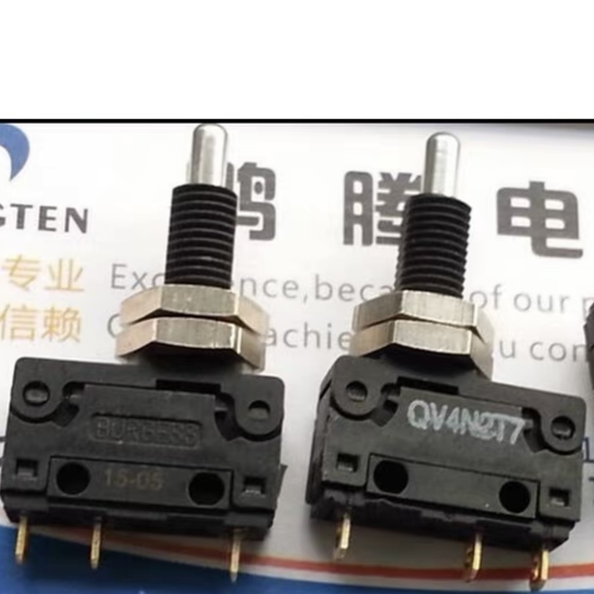 进口德国BURGESS QV4N2T7 微动开关 行程限位复位按钮  5A 250V