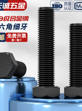 细牙外六角M22M24M27M30-M64螺丝10.9级细扣螺栓螺杆*1.5x2x3x4mm