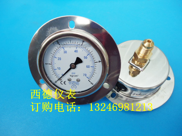 轴向带边埋入式充油压力