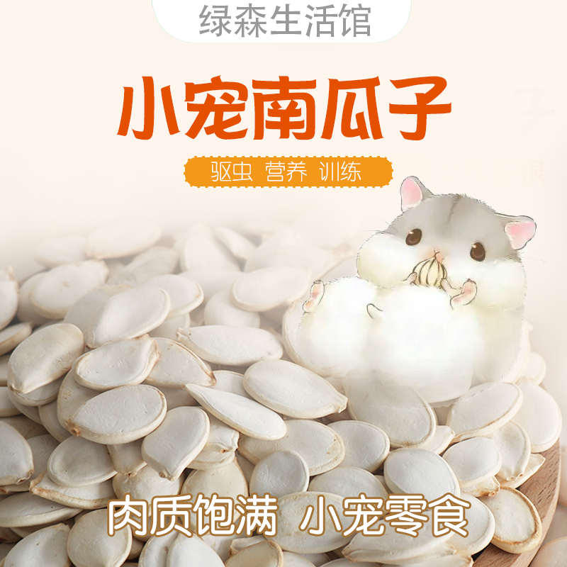 仓鼠爱吃小零食南瓜子营