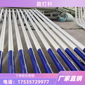 路灯杆直杆单双臂太阳能路灯6米7米8米9米户外广场足球场照明灯柱