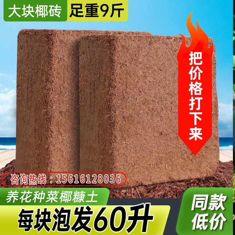 四川椰砖营养土花阳台种