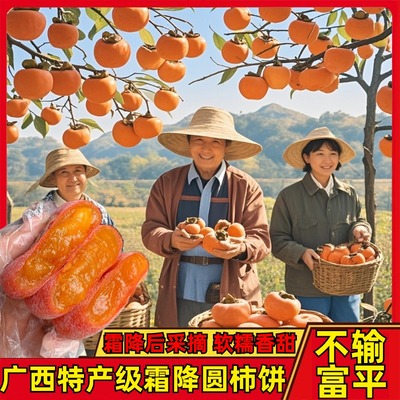 柿饼柿子饼特产级农家自制桂林恭城老式柿饼礼盒大柿饼官方旗舰店