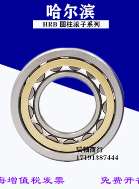 哈尔滨B圆柱滚子轴承RN218 219 220 222 228 304 305 306 307E