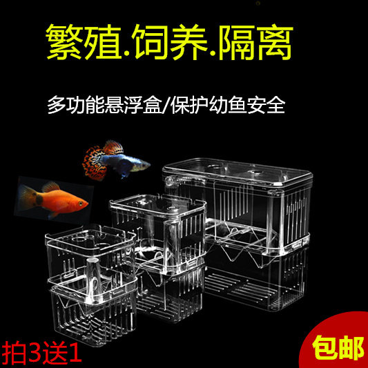 孔雀鱼繁殖盒鱼苗孵化器缸外小鱼隔离网产房斗鱼缸亚克力母特大号