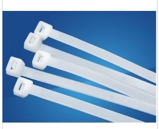 扎带非标尼龙线扣白色条