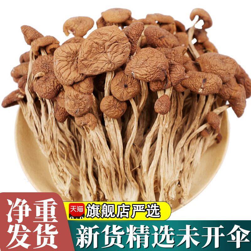 茶树菇干货旗舰店特级云南蘑菇菌菇类煲汤一级新货不开伞500g