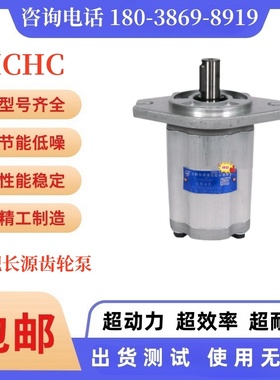 HCHC合肥长源齿轮泵CBF-F410/F412.5/F416/F420/F425/F432-ALP