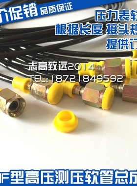 测压软管 测试软管 SMS-20/M1/4-1000A 1200A 1500A 2000A 2500A