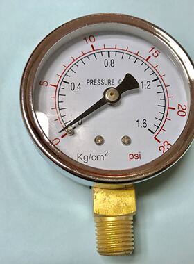 Pressure gauge 压力表1.6kg/cm2 23psi y-60 直径60mm 螺纹pt1/4