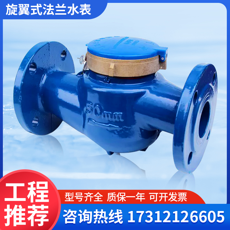 宁波上海铸铁法兰水表旋