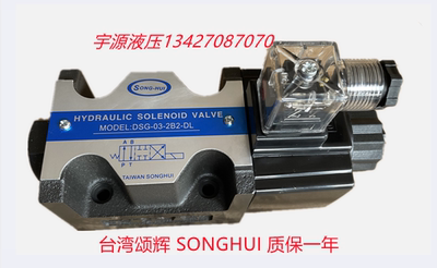 液压电磁阀DSG-03-2B2 2B3B-DL LW A220 D24 2B3台湾颂辉 SONGHUI