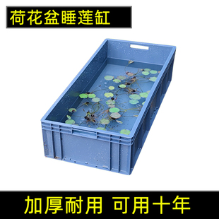 大型荷花盆缸睡莲池庭院大缸养睡莲的专用盆碗莲水莲花盆养鱼水箱