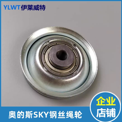 厅门绳轮SKY电梯钢丝FAA1