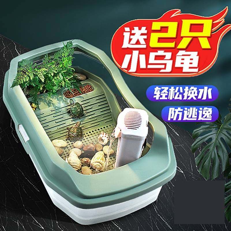 学生养的小动物小乌龟活宠物家养中华草龟珍珠巴西花龟苗小型活体,工业油品/胶粘/化学/实验室用品,烧杯/烧瓶,淘宝优惠券,粉丝福利购,淘宝优惠卷