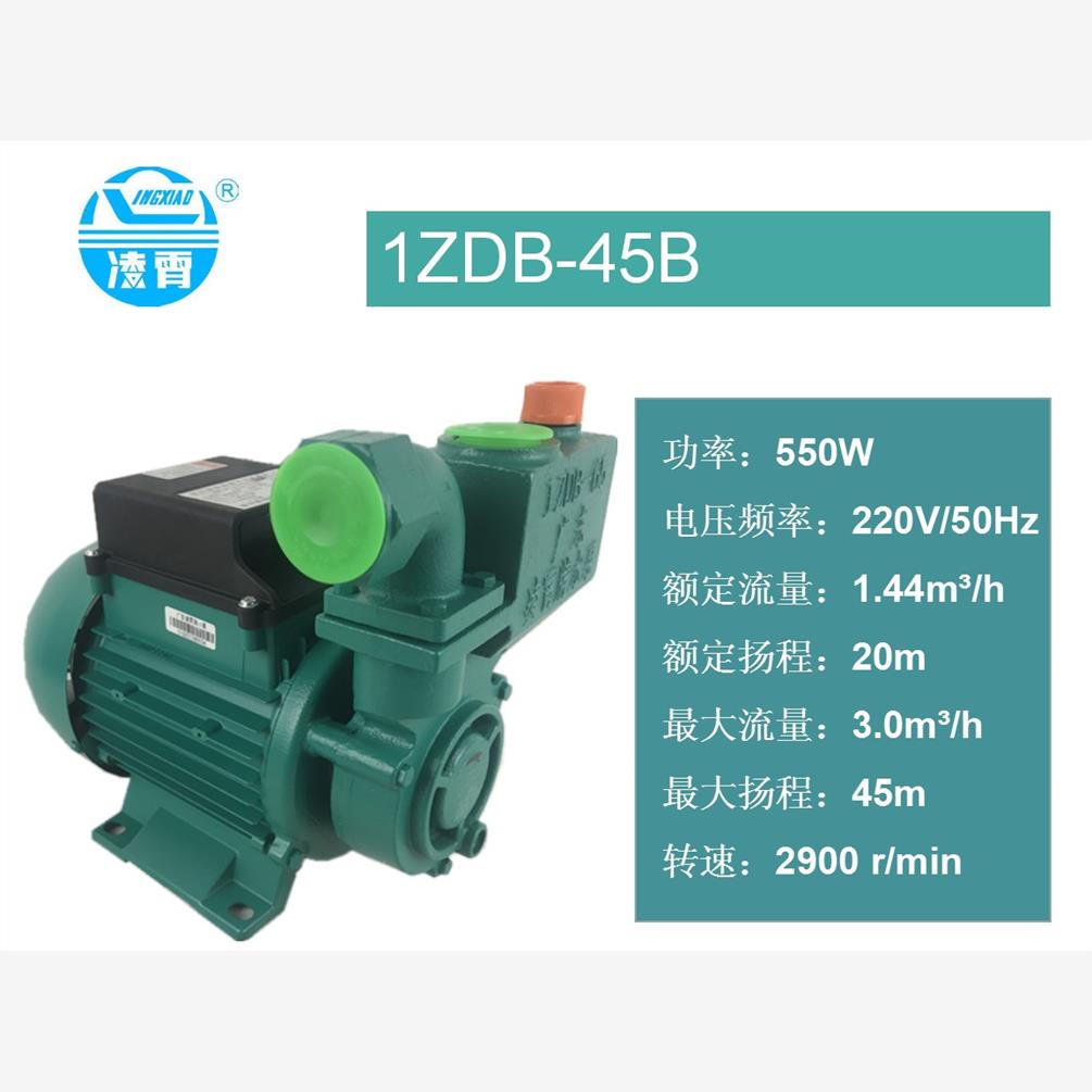 新款广东自吸泵1ZDB3546