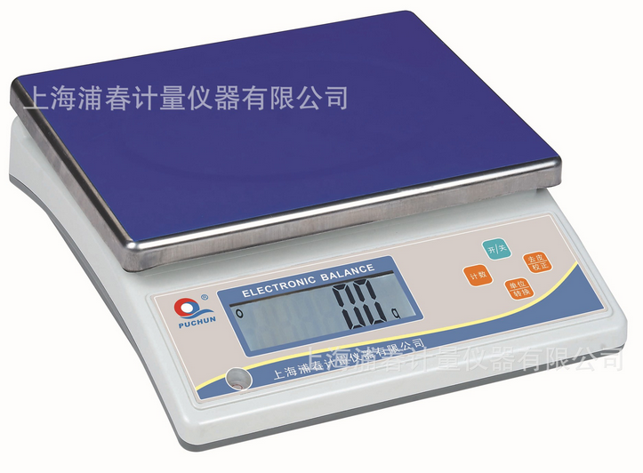 电子秤上海浦春计重天平