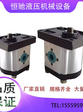 齿轮泵CBN-F310L/F306L/F320L/F314L/F316L液压油泵