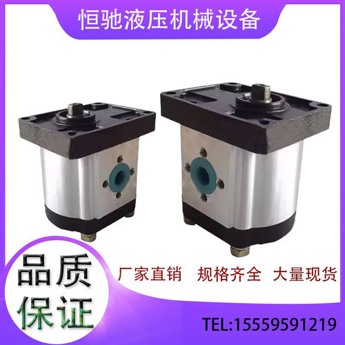 齿轮泵CBN-F310L/F306L/F320L/F314L/F316L液压油泵