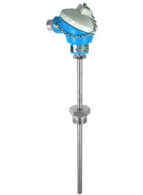 议价TM501-B111C10C1B3C3X1温度计 E+H