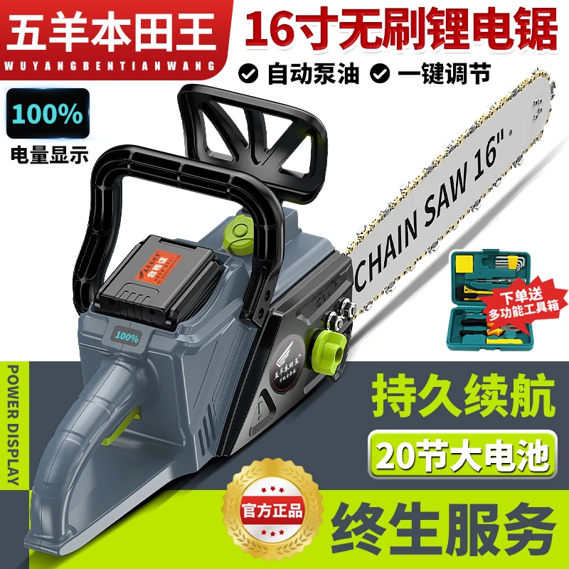 日本进口大容量充电式锂