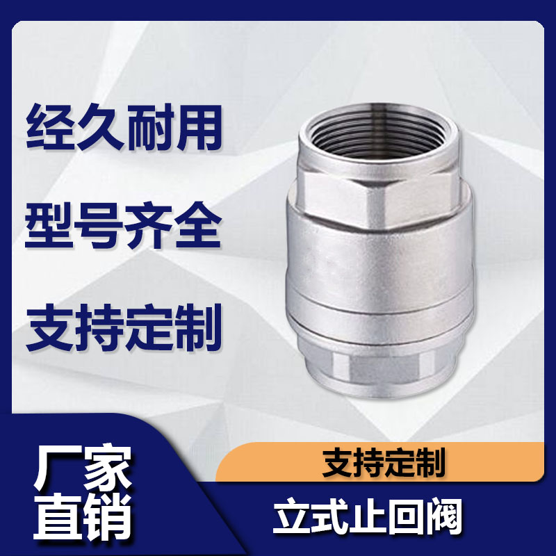 不锈钢立式止回阀逆水泵