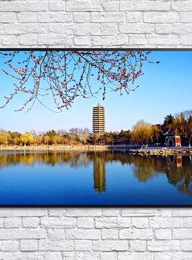 北大/清华/浙大/复旦/海报浙江北京大学励志高校名校装饰挂贴画纸