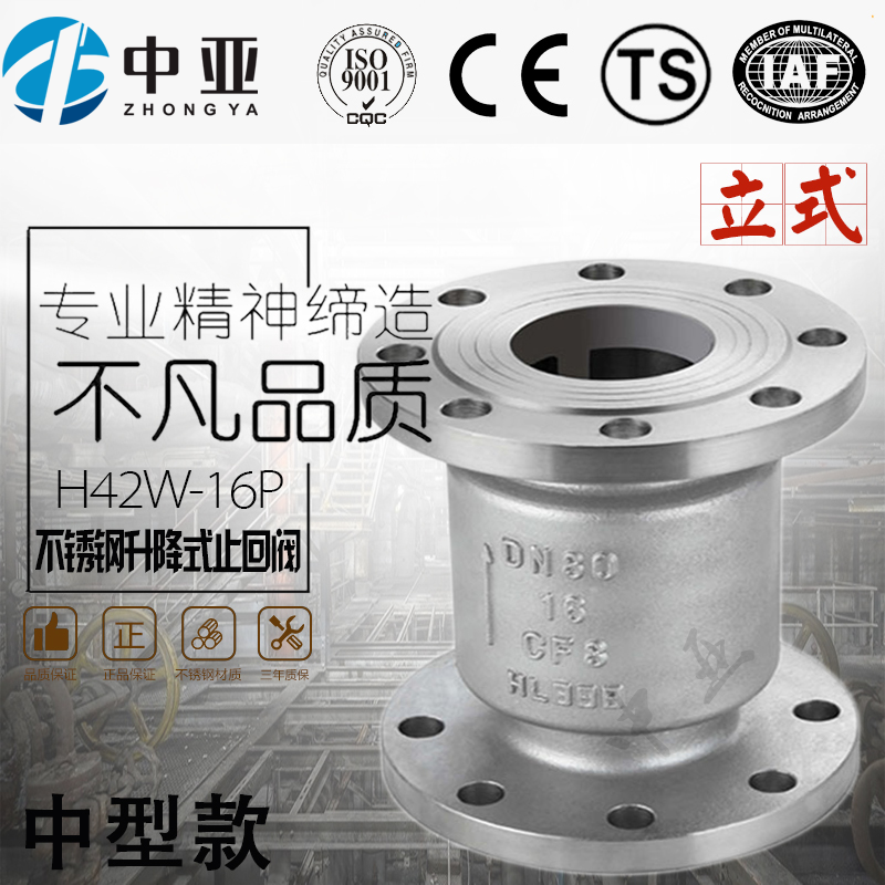 不锈钢立式止回阀升降弹