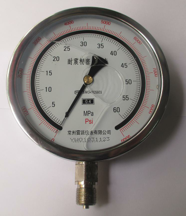 桩基用级精密充油压力表