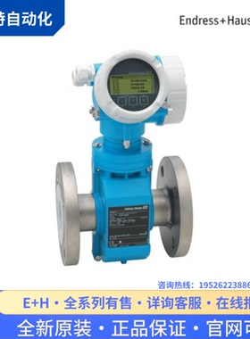 议价E+H恩德斯豪斯DN40 电磁流量计5P3B40-GRIBAEAFAAED5K0BA2+AI