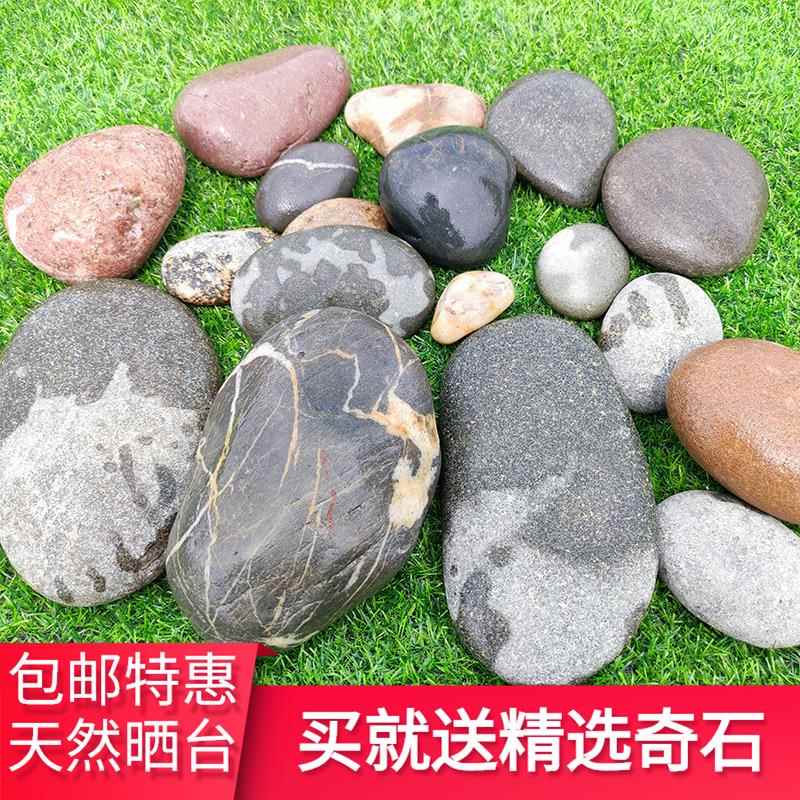 天然乌龟晒台爬石头大号