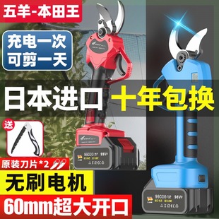 锂电剪刀剪树枝专用修剪树枝艺园修花绿化绿篱园艺剪园林电修枝剪