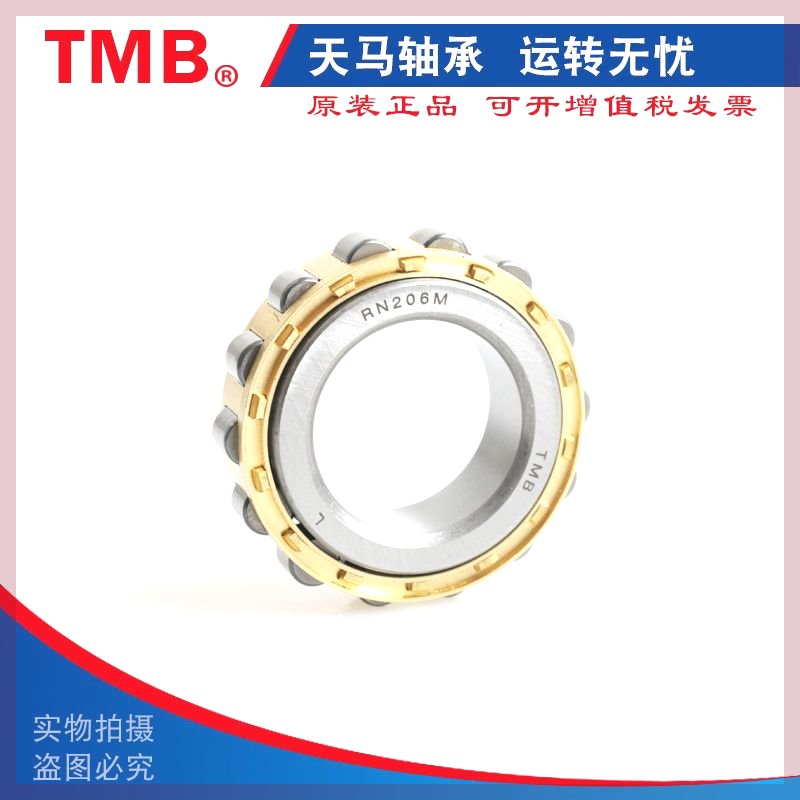 德国进口减速机偏心轴承