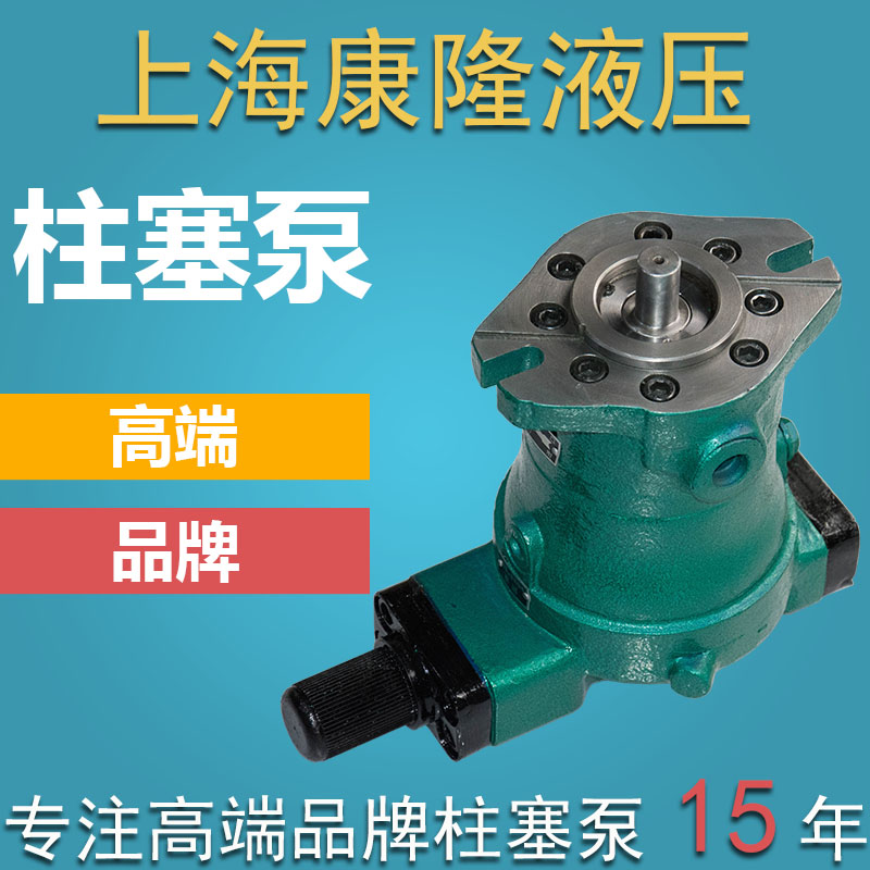 上海启高高压油泵10/25/32/40/63/80/100/160/250YCY14-1D柱塞泵