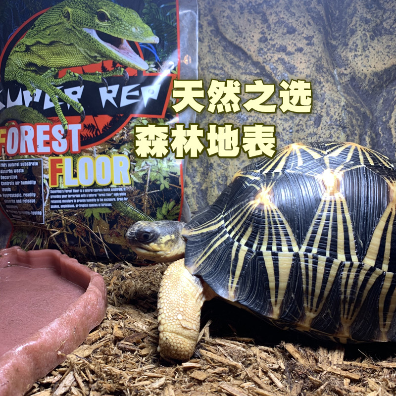 爬宠森林地表垫材天然保