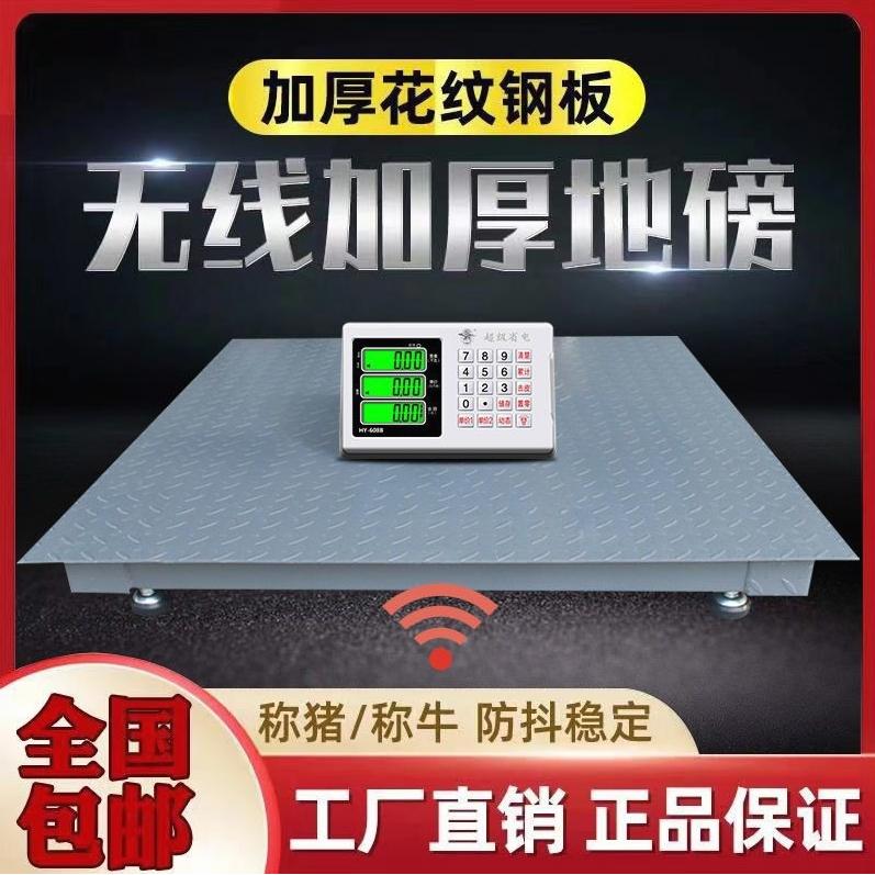 德国进口上海耀华电子地