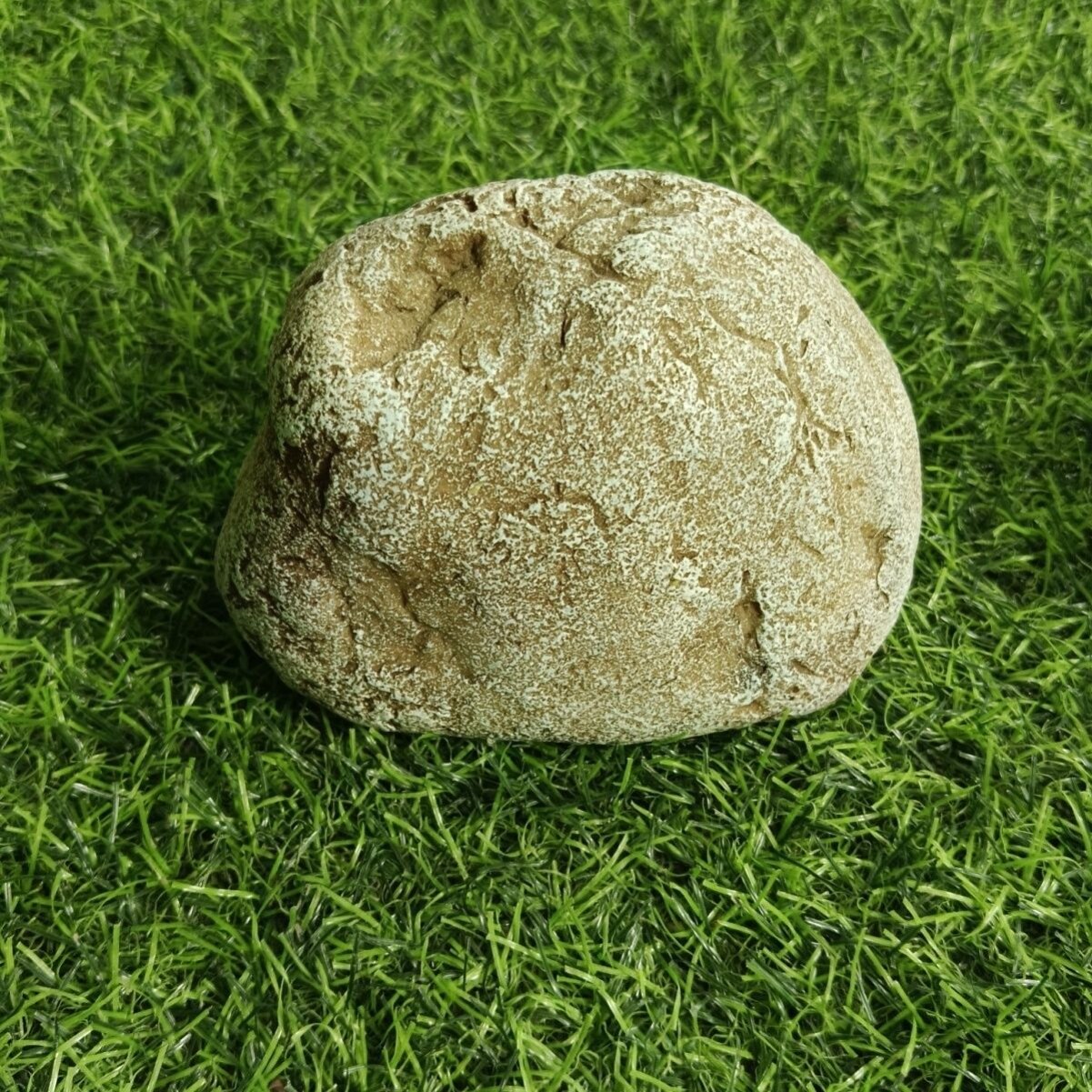 门上放钥匙的密码盒口藏图片