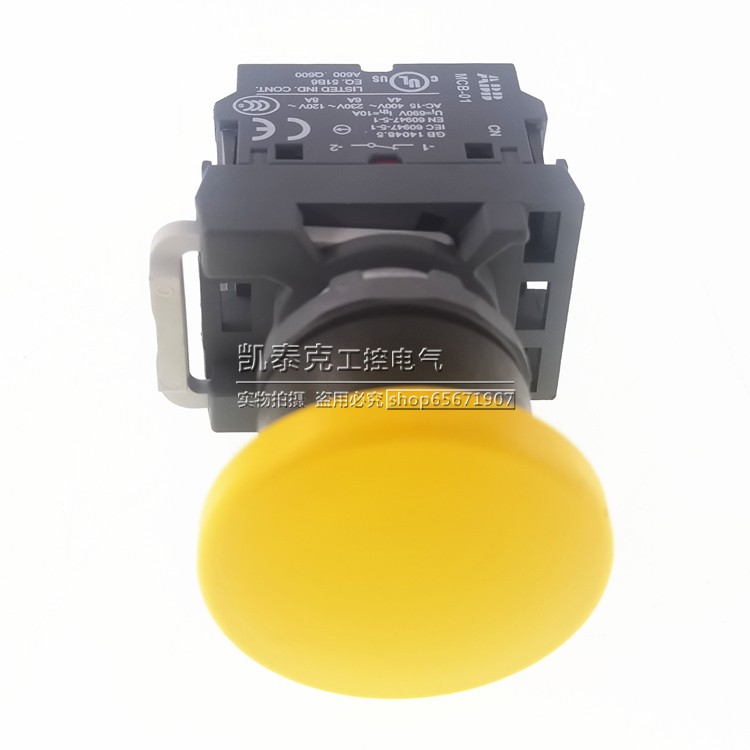 原装正品蘑菇头按钮开关