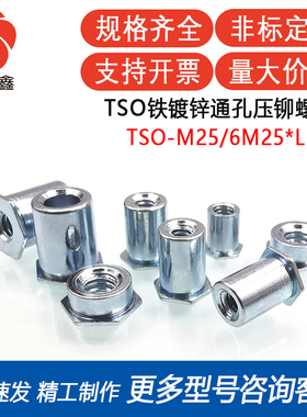 TSO-M25/6M25-300/400/500/600/700/800/1000/1200镀锌压铆螺柱