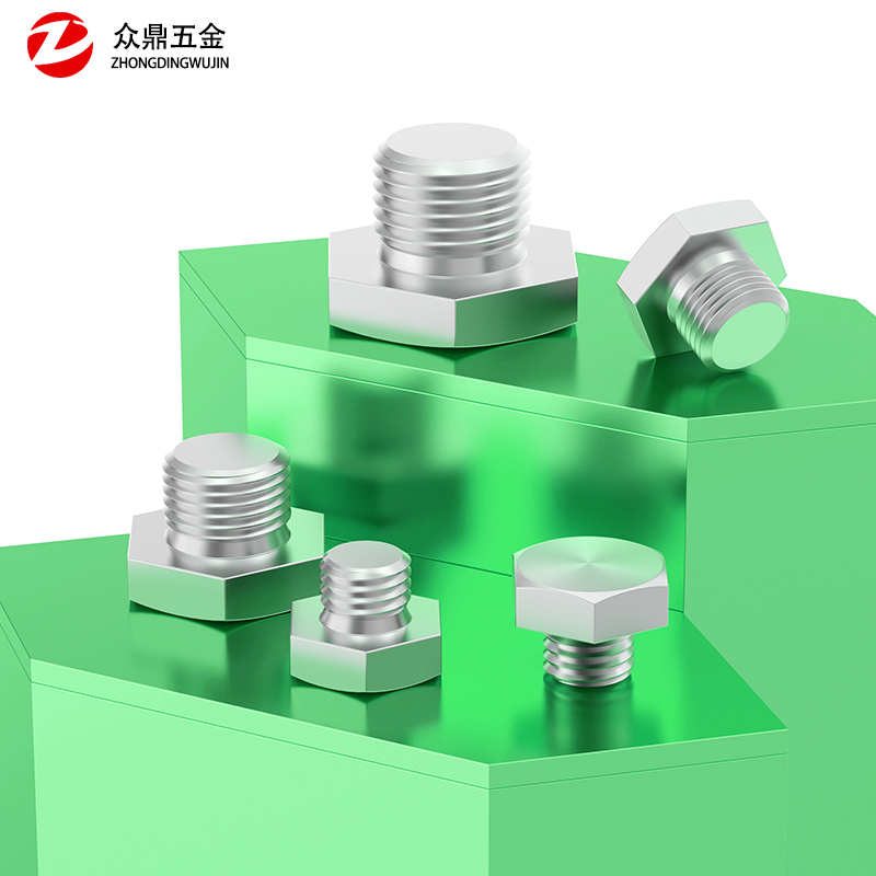 不锈钢大外六角法兰堵头