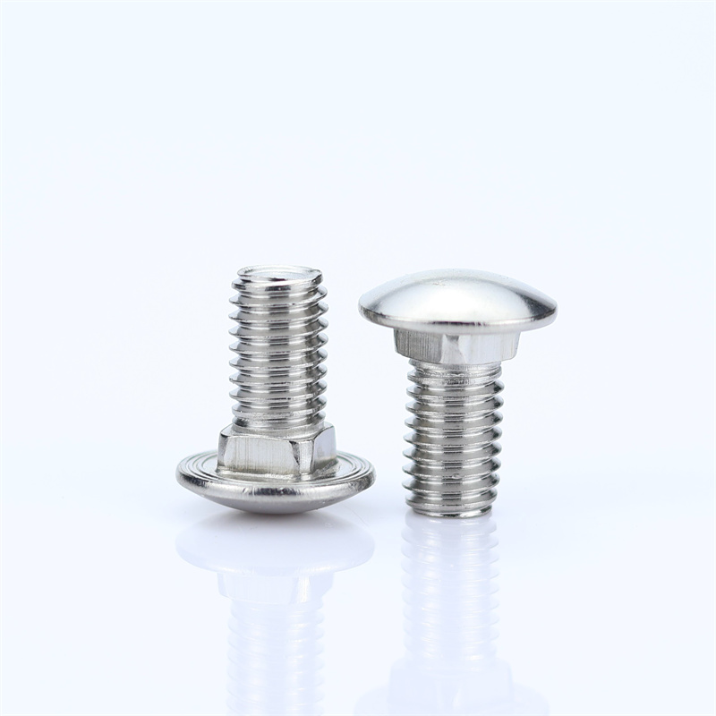 不锈钢大半圆头小马车螺