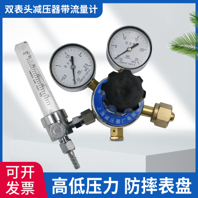 上海减压器厂双表头流量