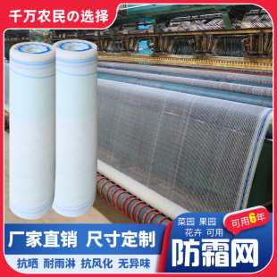 果园防鸟网天网围网大棚果林种菜支架农作物花架葡萄架户外樱桃网
