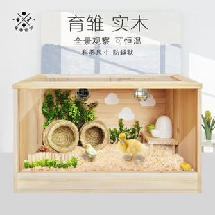 育雏保温箱小鸡柯尔鸭小鸭子鸽子鹦鹉雏鸟刺猬鹌鹑保温繁育繁殖箱