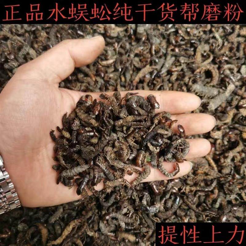 画眉鸟食鸟饲料鸟粮鸟料水蜈蚣爬沙虫河虫提性壮瞟上力耐斗干货虫